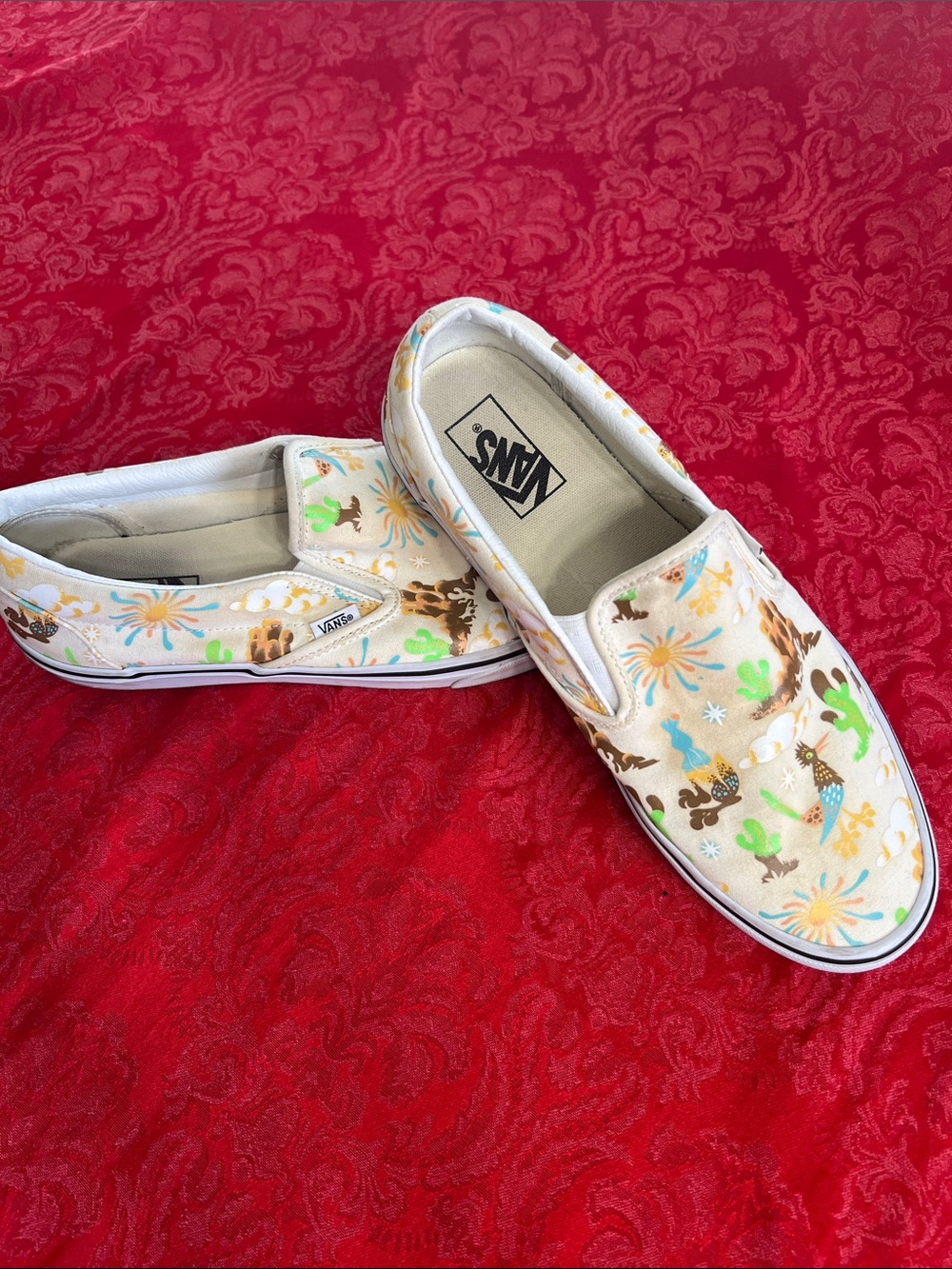 Vans Classic Slip-On Desert Cactus Print Sneakers Men's 10.5 Canvas Off The Wall